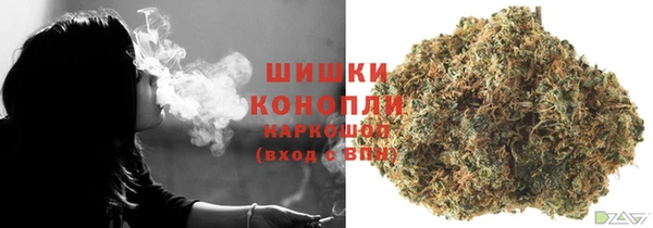 спайс Козловка