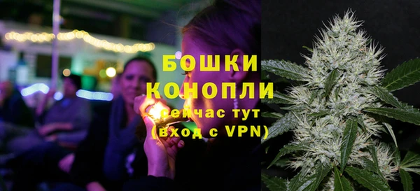 спайс Козловка