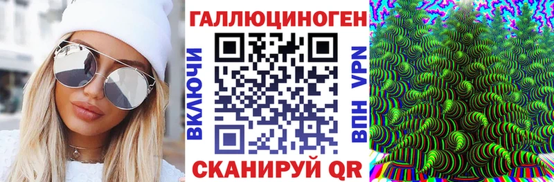 Купить где  Калязин  Галлюциногенные грибы Psilocybe 